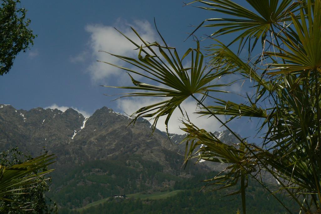 Alpina Residence Naturns Extérieur photo